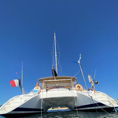 ホテル Catamaran Cypraea テール・ド・オー エクステリア 写真