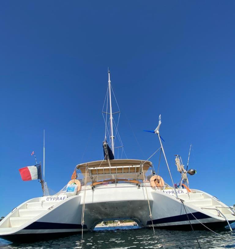 ホテル Catamaran Cypraea テール・ド・オー エクステリア 写真